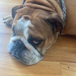 Meet your Posher, Isabelle